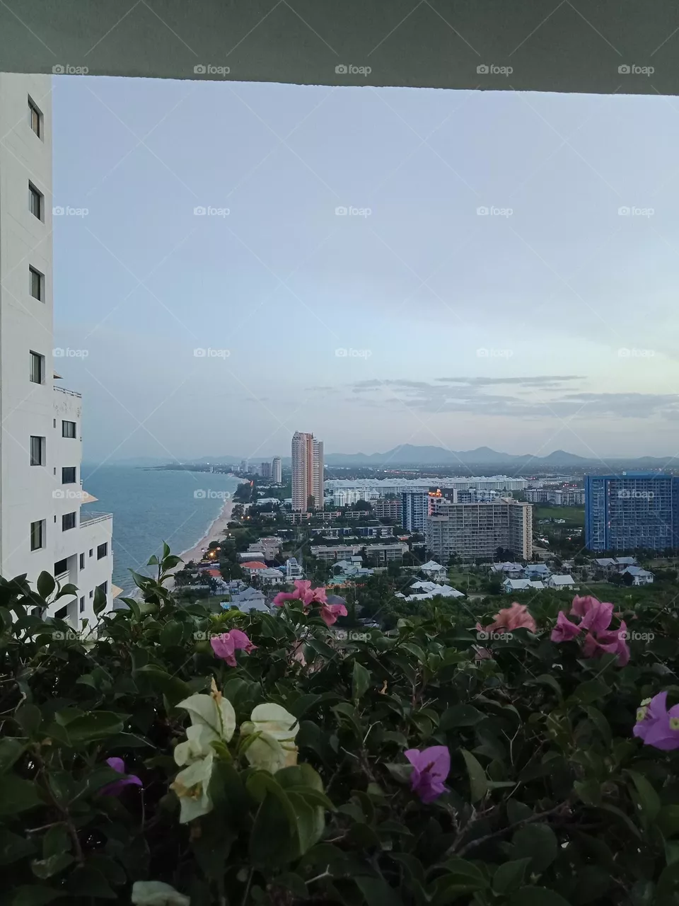 Beach town behind the flowers