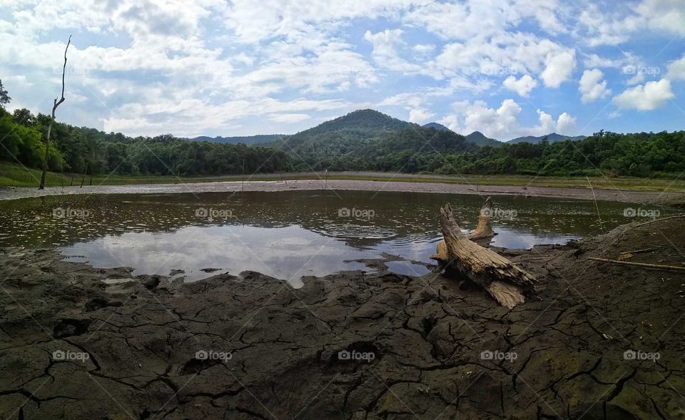 dry Tree | mountain and sky, reflection