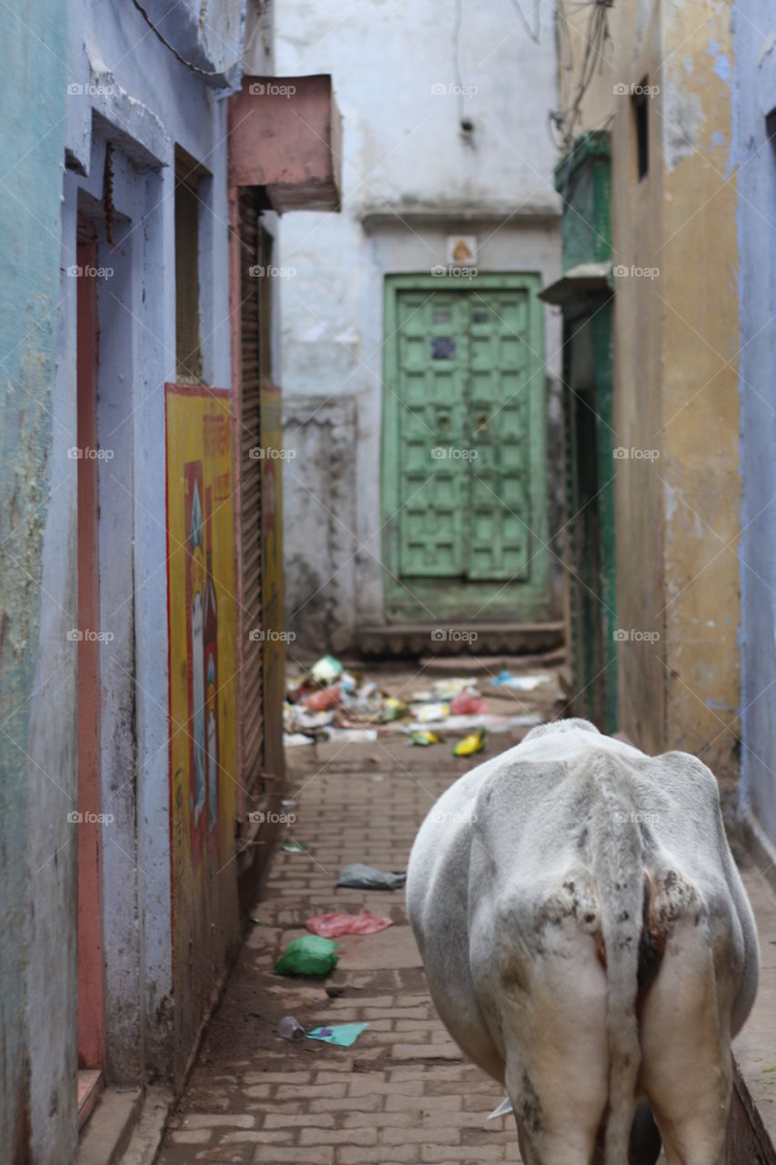 Back alley in Varanasi 