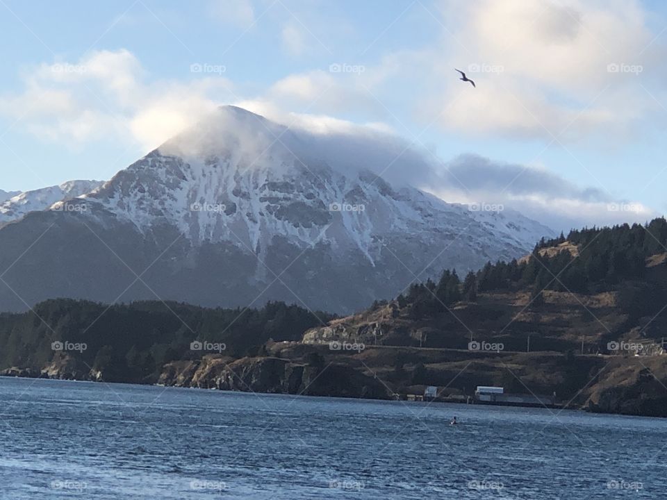 Kodiak Alaska