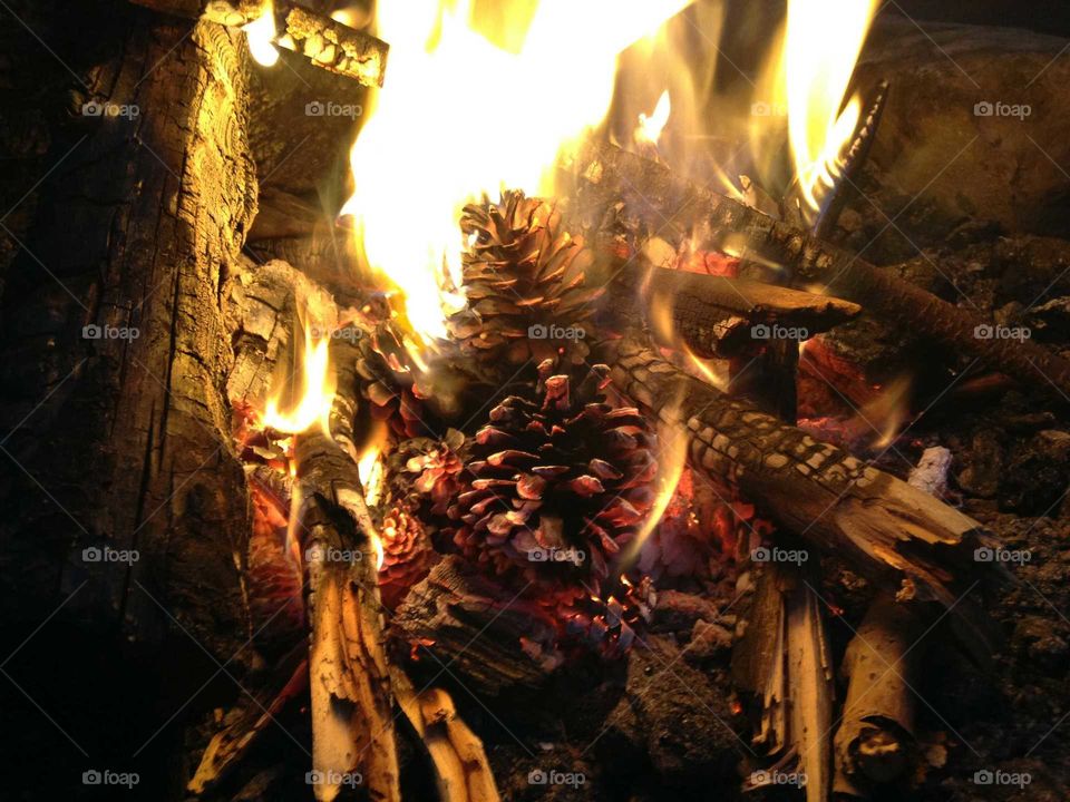 burning pine cones. a beautiful fire