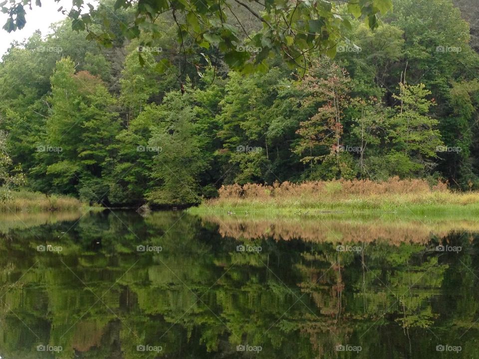 Awesome Lakescape. Lake scene while paddling