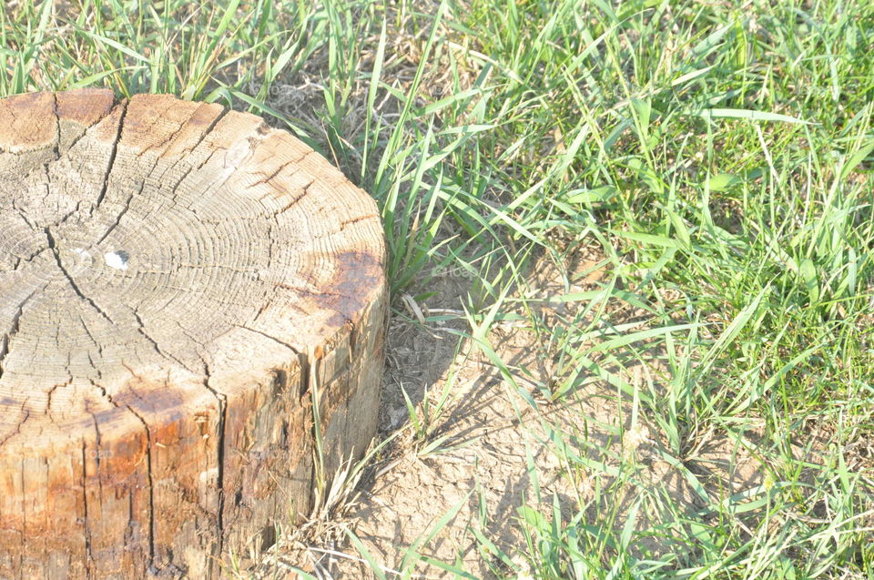 log