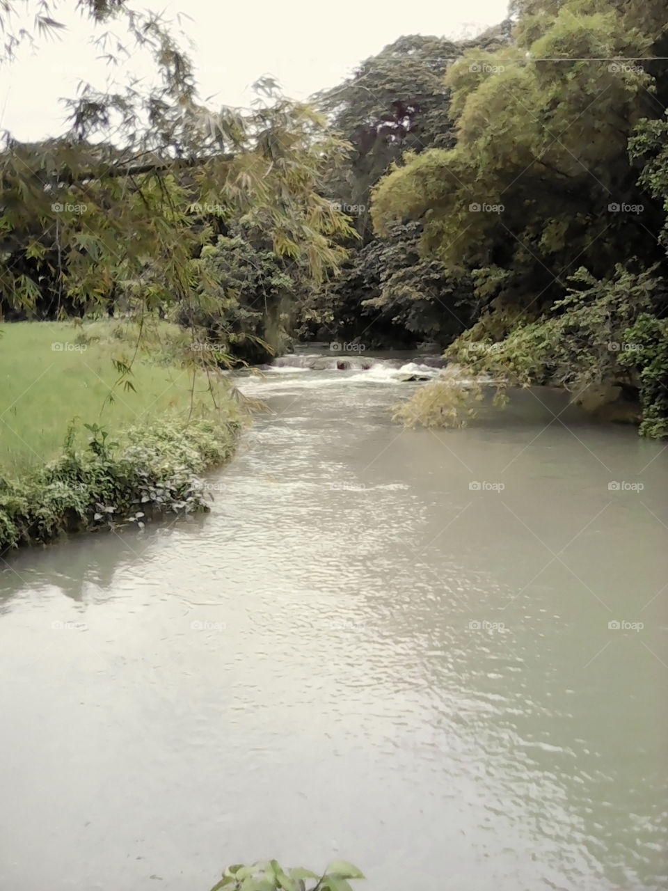 Calm River