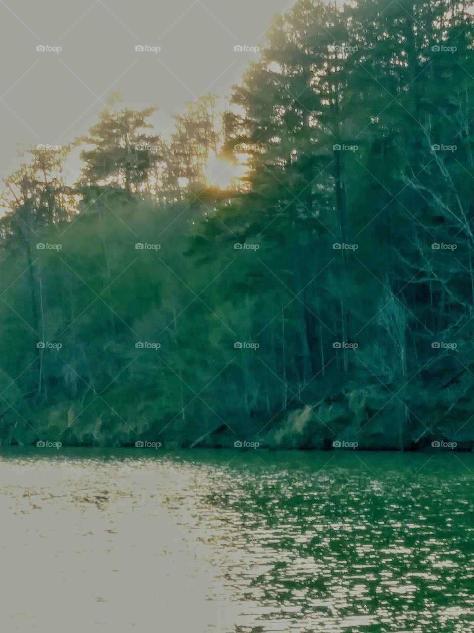 Rich Creek Reflections