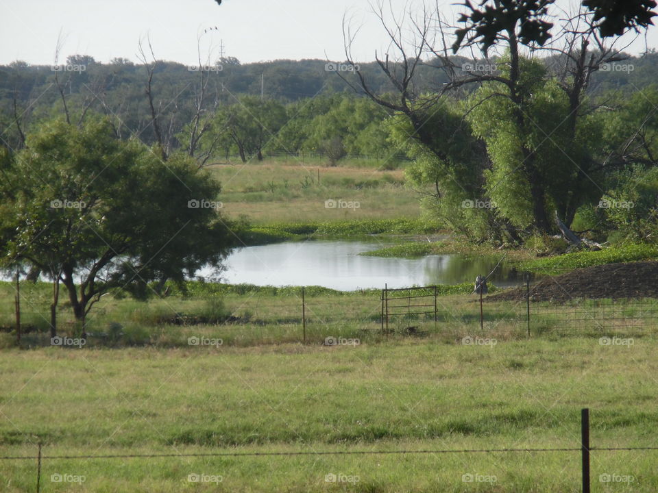 Texas pond. This is a picture of a pond that is owned by a local farmer