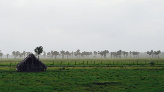 Green and gray landscape valdemira24 Canon SX 50