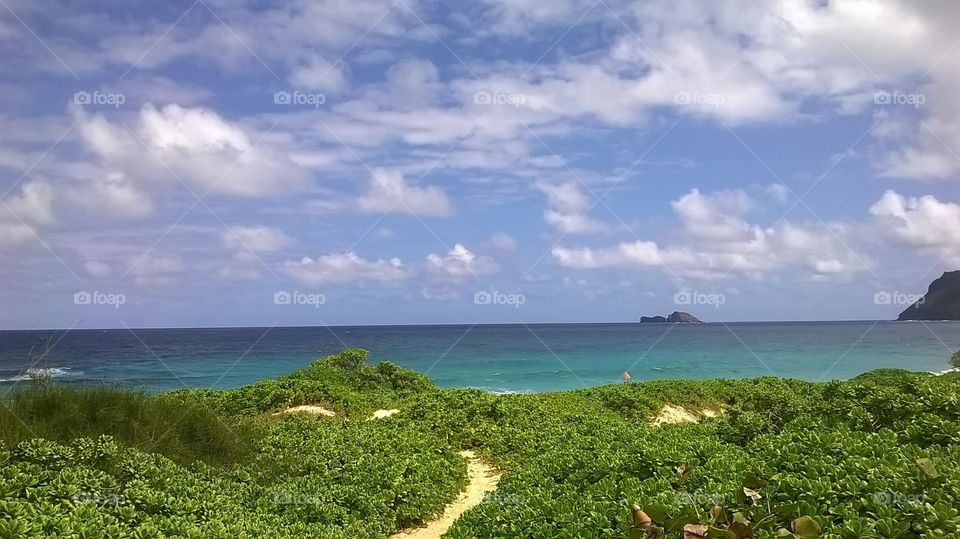Pebble Rock Beach, Hawaii
