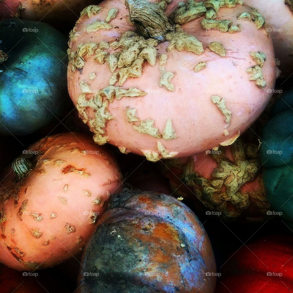 Colorful Gourds 