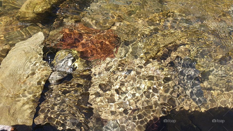 Clear water in the river