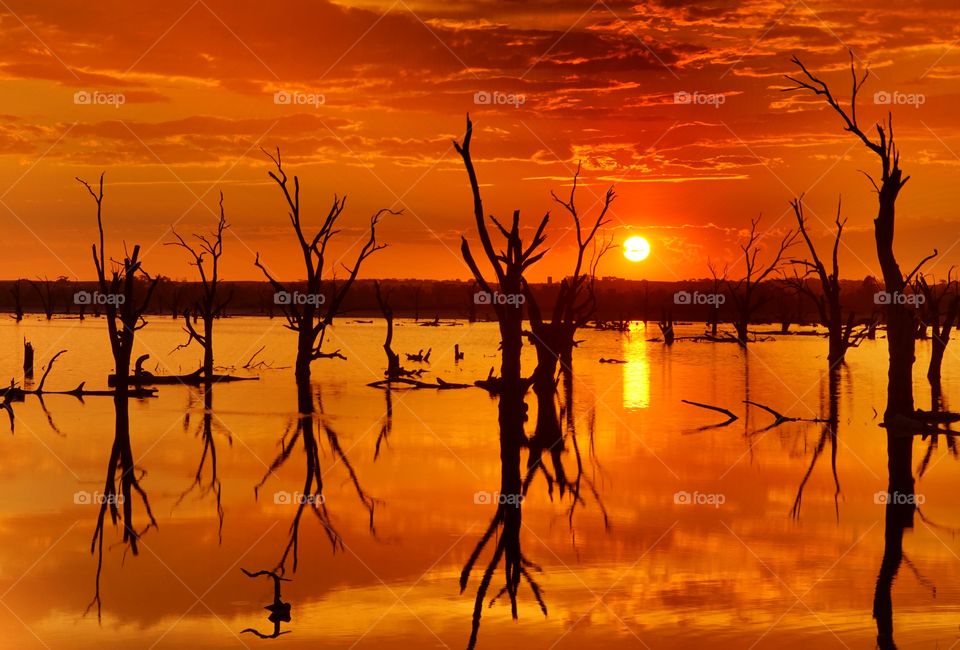 Loveday Swamp sunset