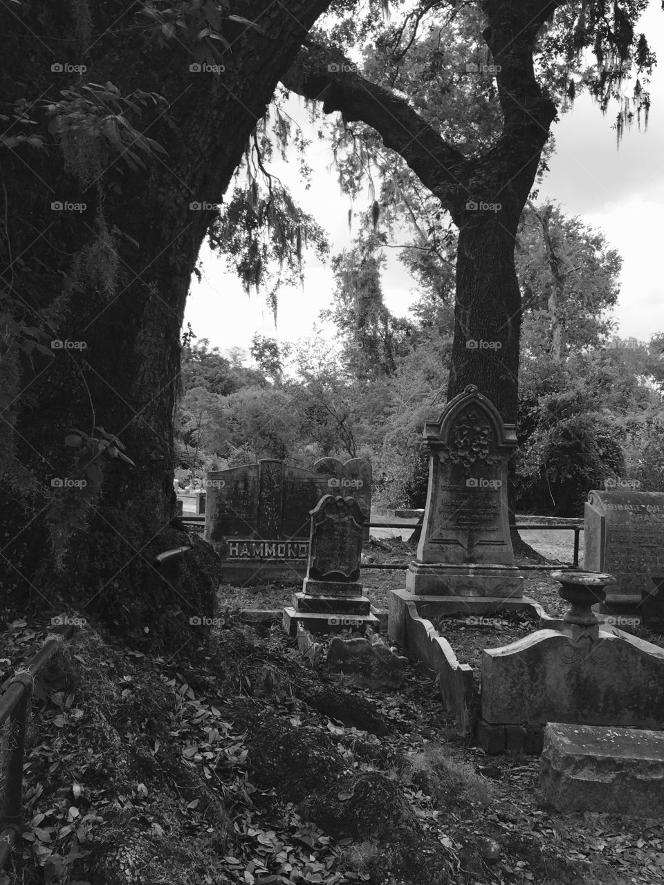 Creepy Cemetery 