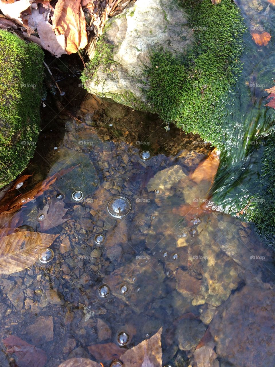 Babbling Brook