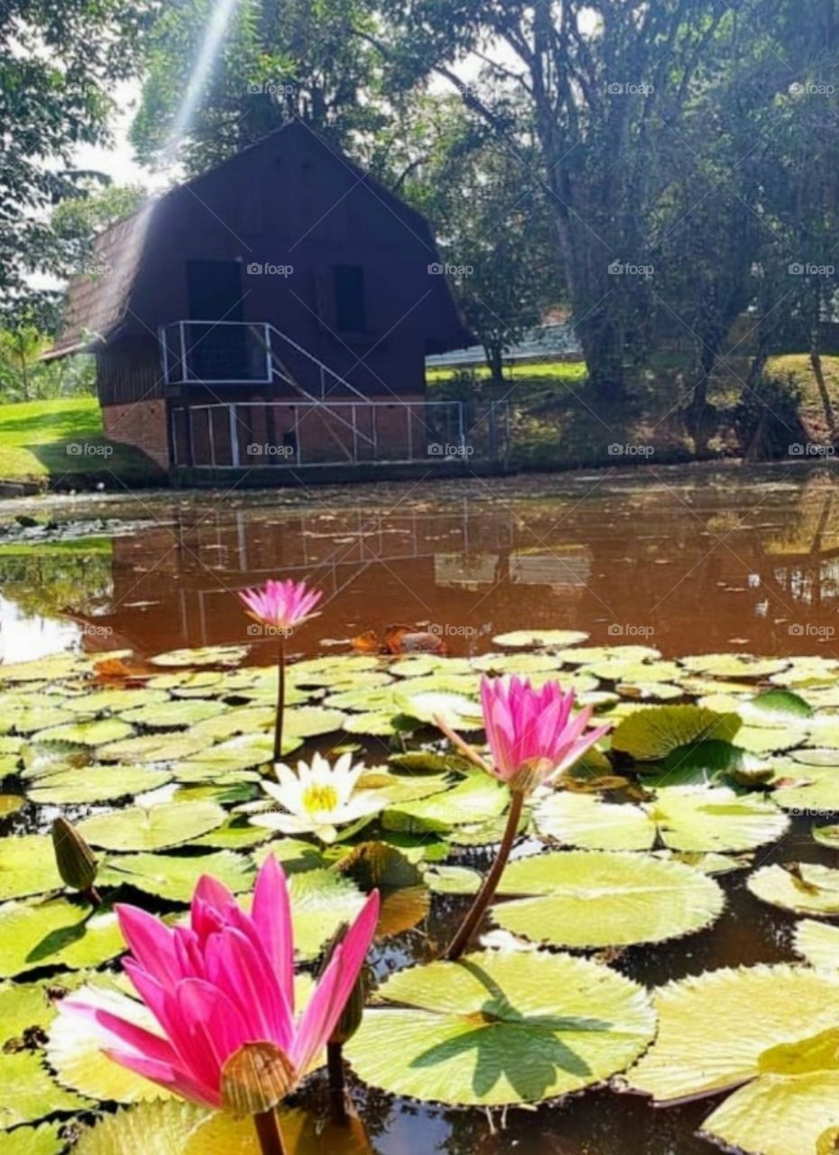 Simplesmente Perfeito 😍