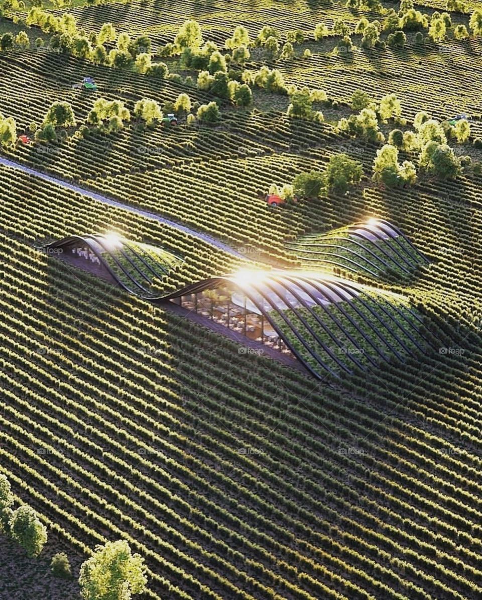 Your Favourite Creative Dream House 01