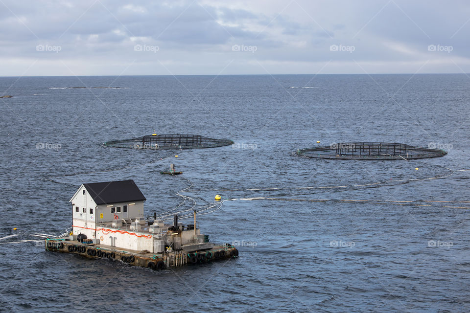 Fish Farming