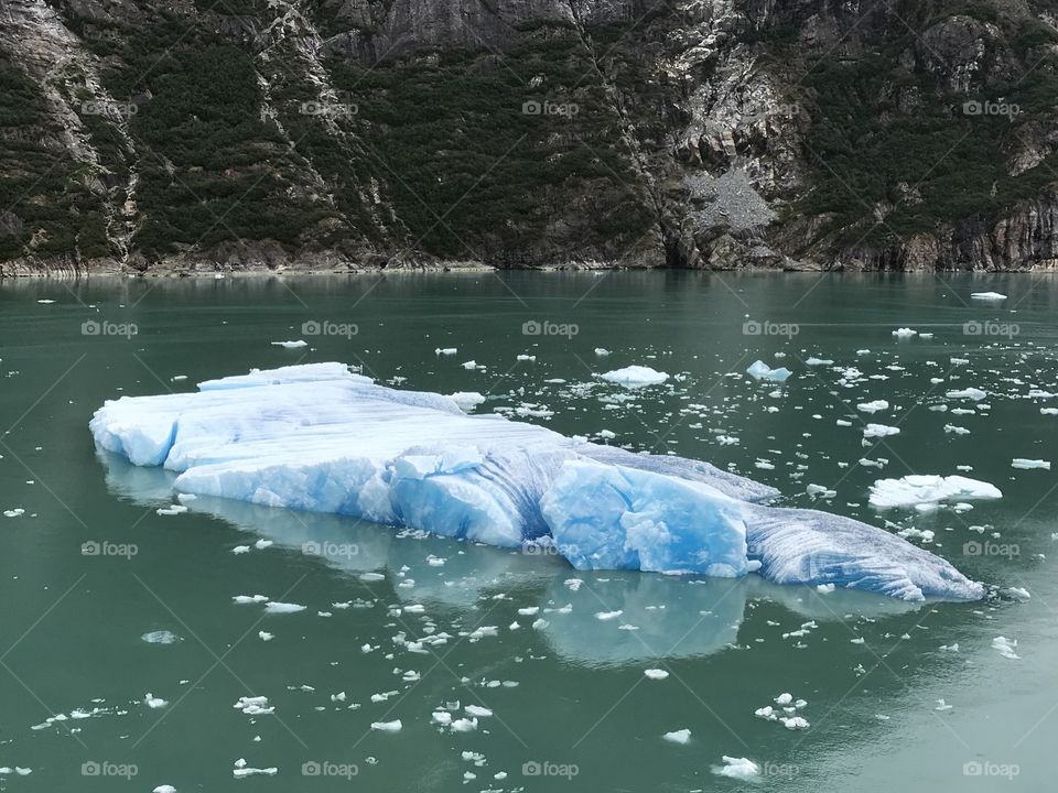 Iceberg Tracy Arm Fjord 