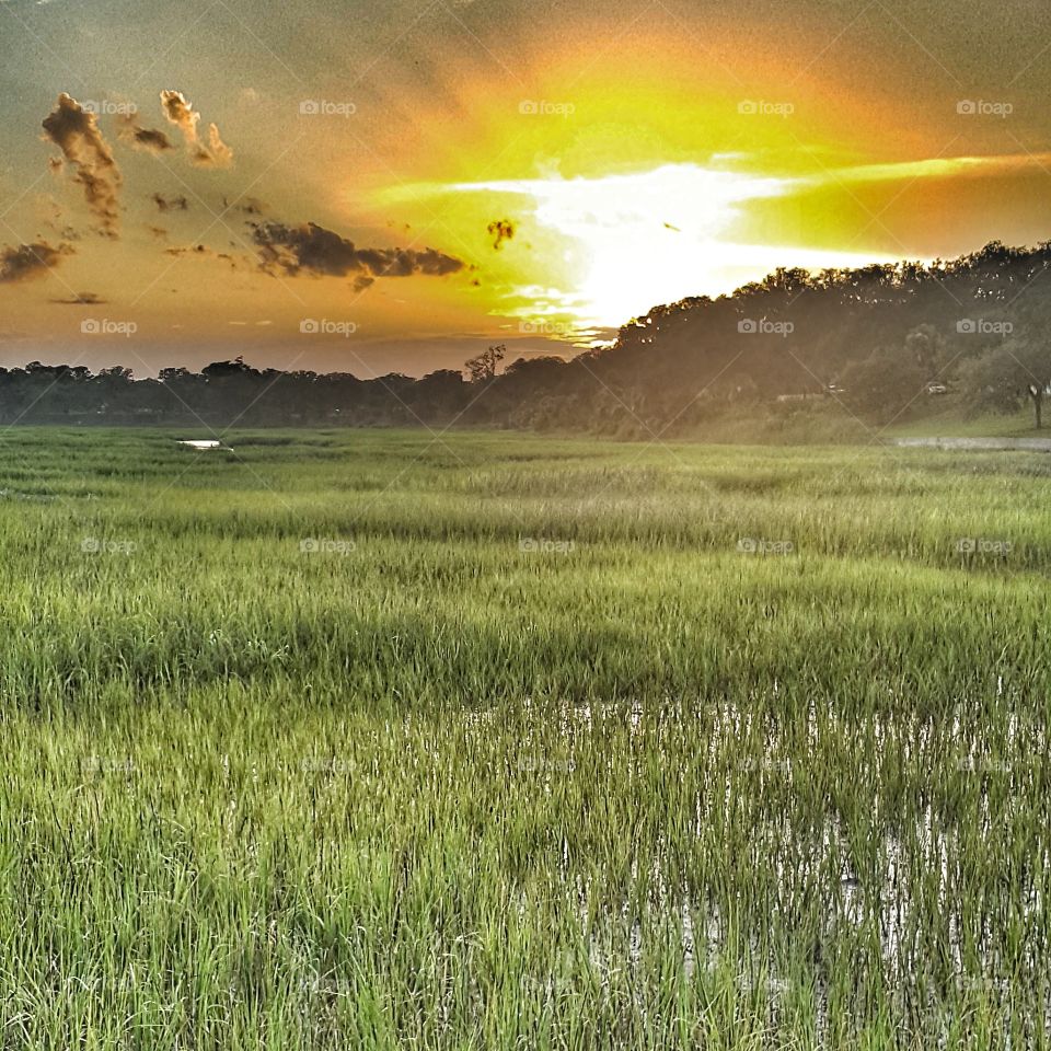 Low Country Sunset