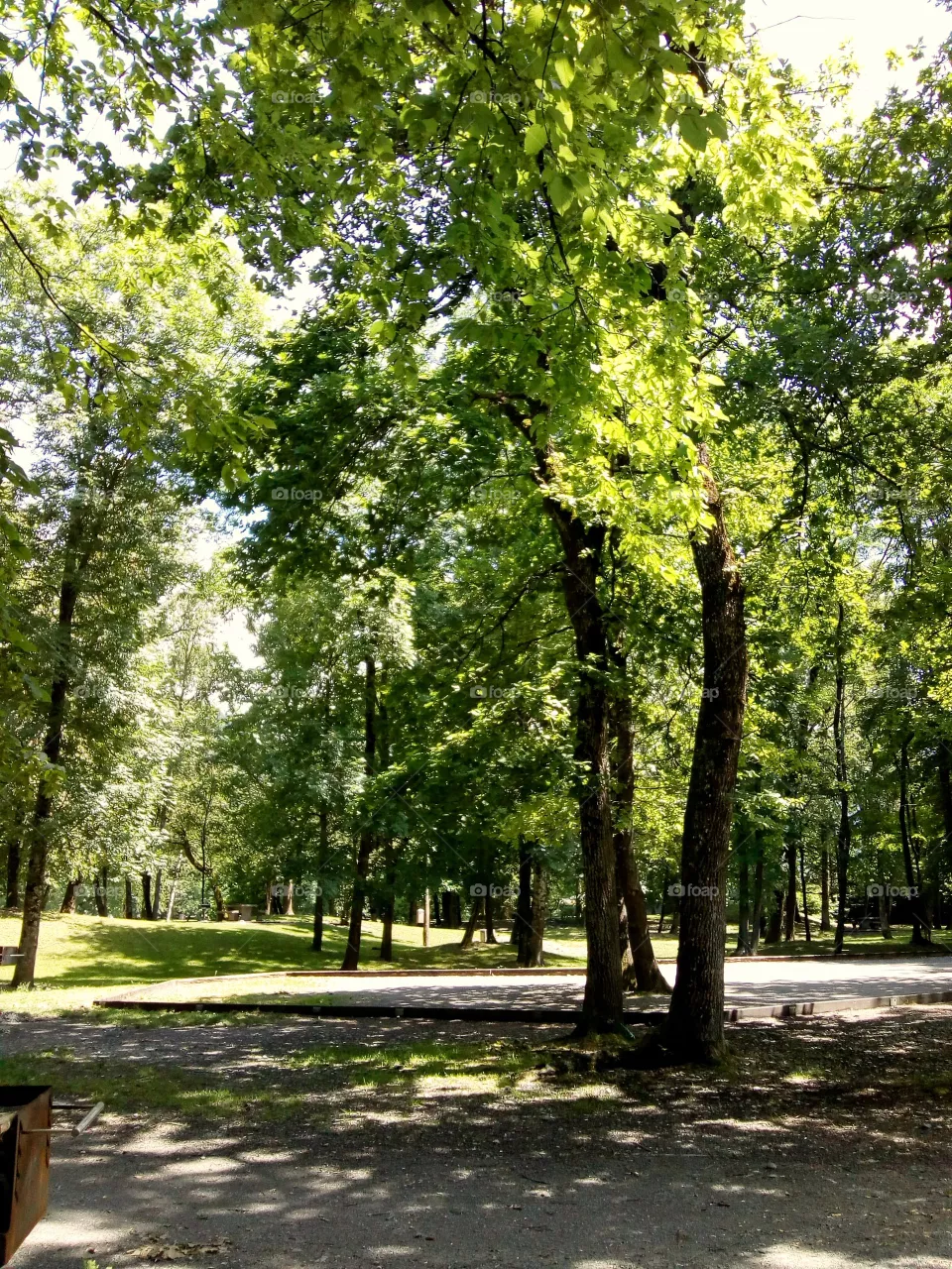 park