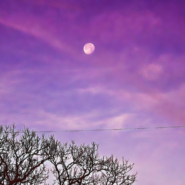 Early Morning Moon January 14, 2017