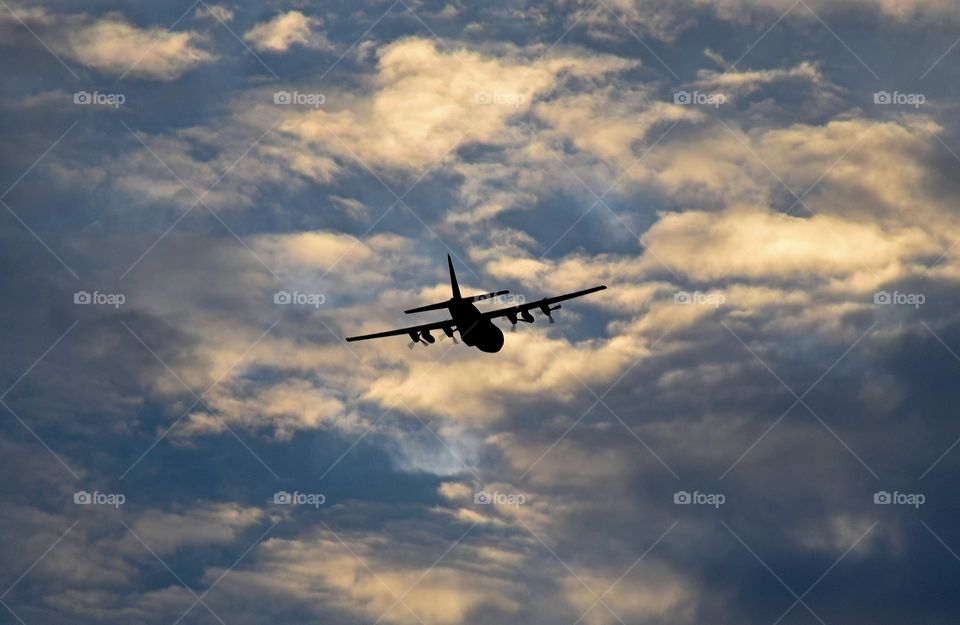 Silhouette Hercules