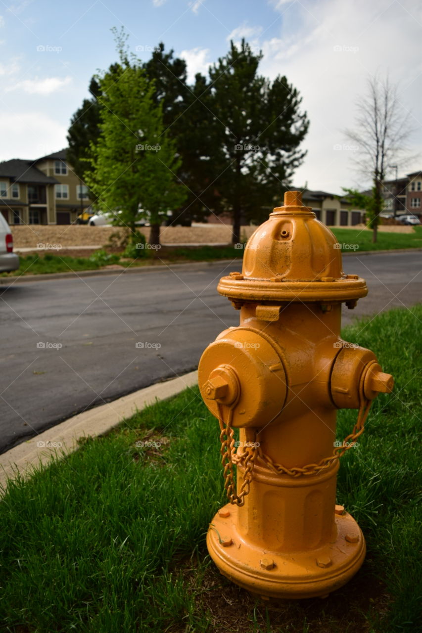 hydrant. water