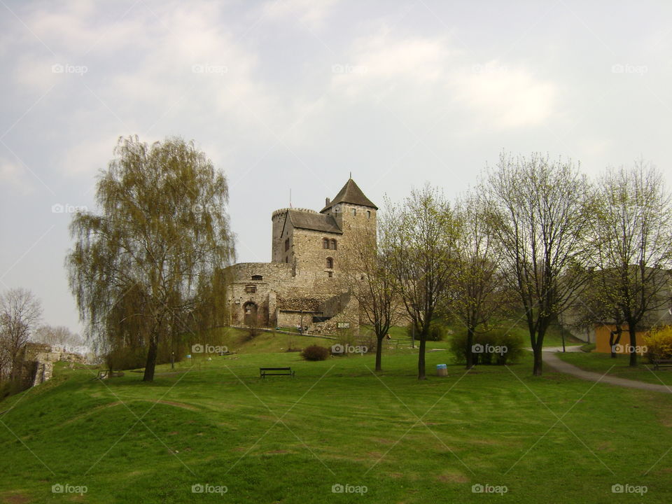 A beautiful castle framed by trees on a summer day. 