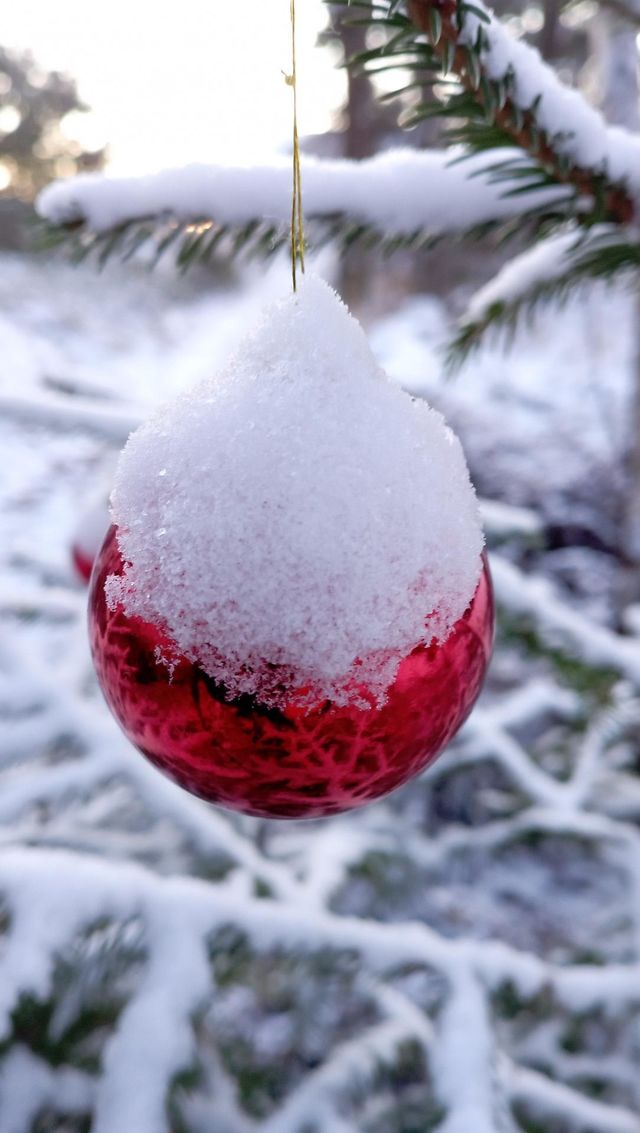 julkula