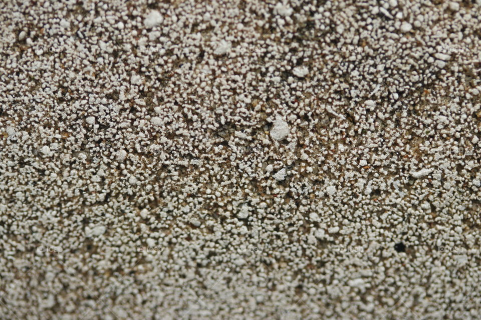 Cement gray texture background