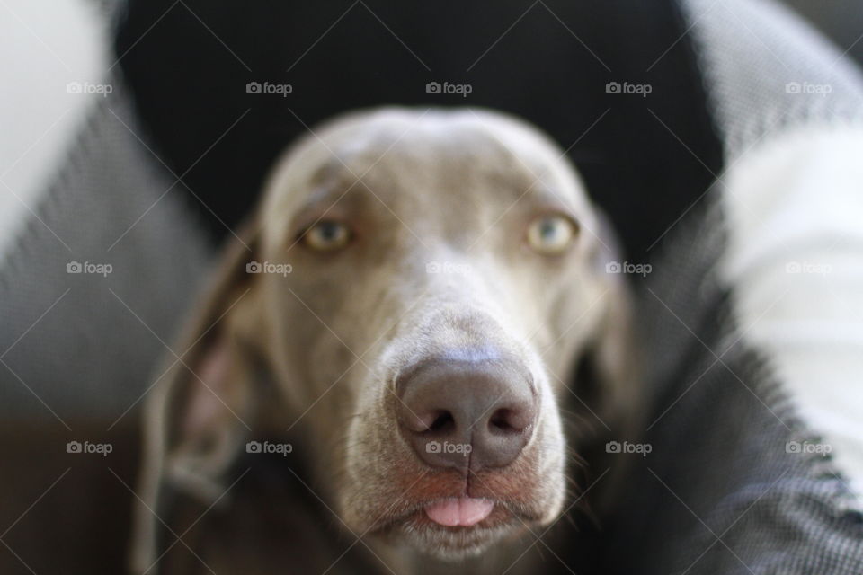 Hey friend, I'm hungry!