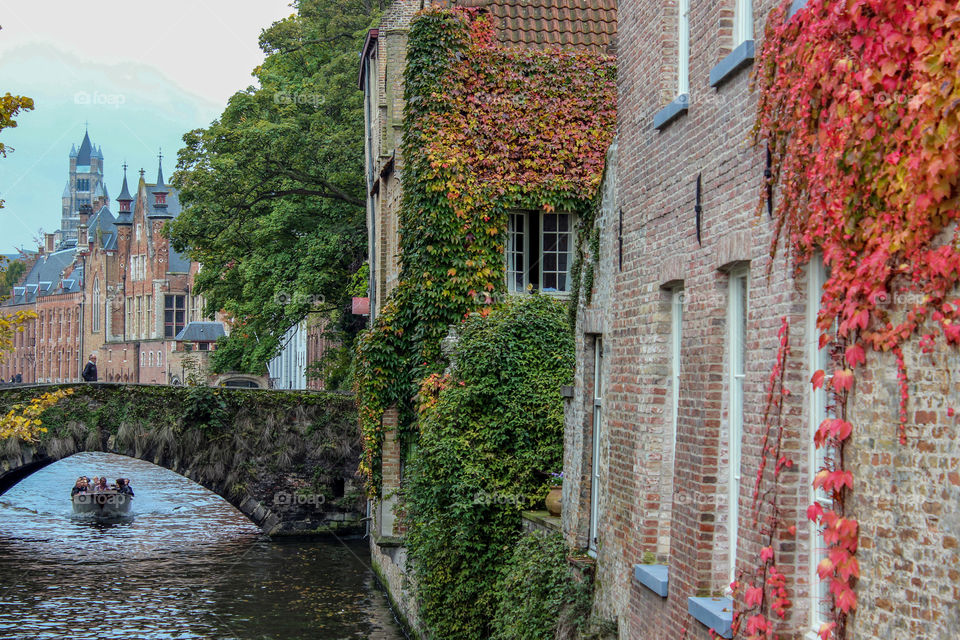 Autumn by the canal