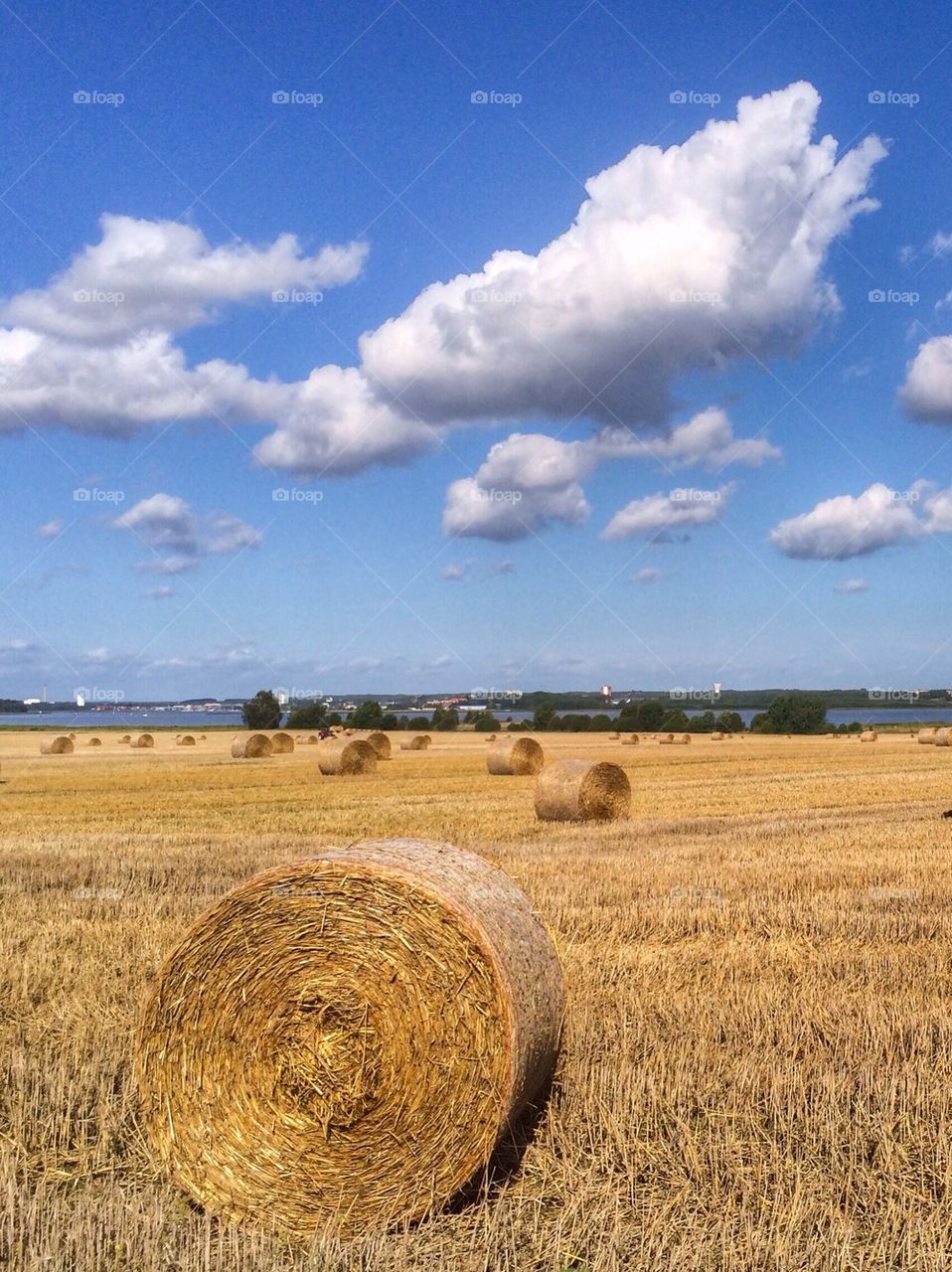 Hay bales