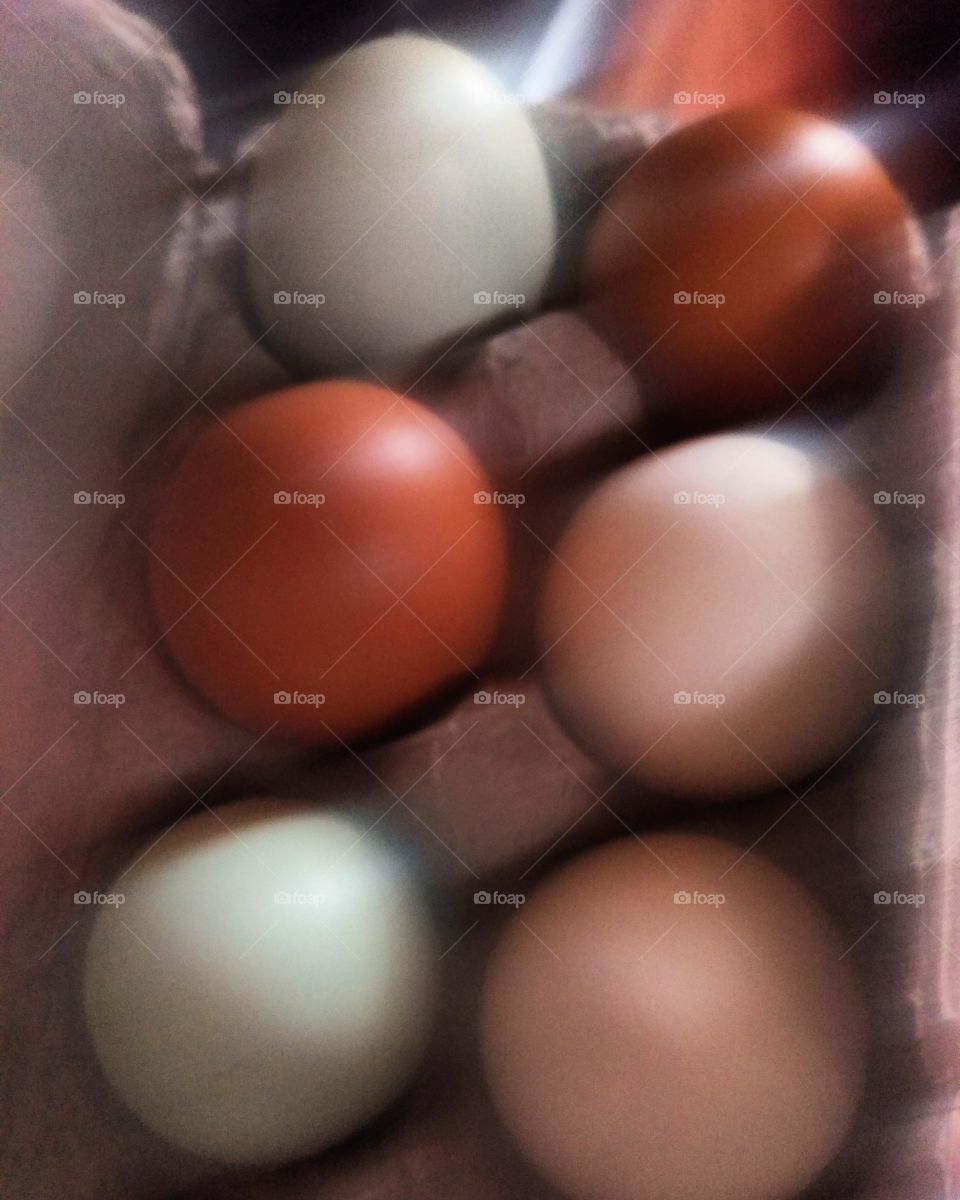 eggs