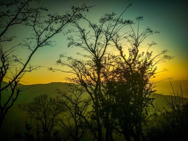 Evening sunlight.
