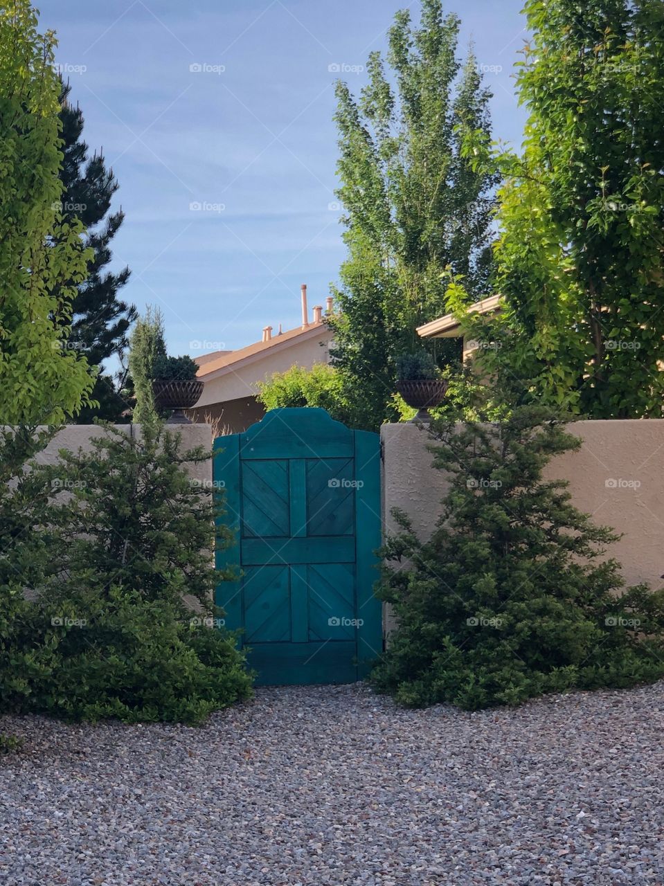 Turquoise door in stucco fence surrounded by small pine trees