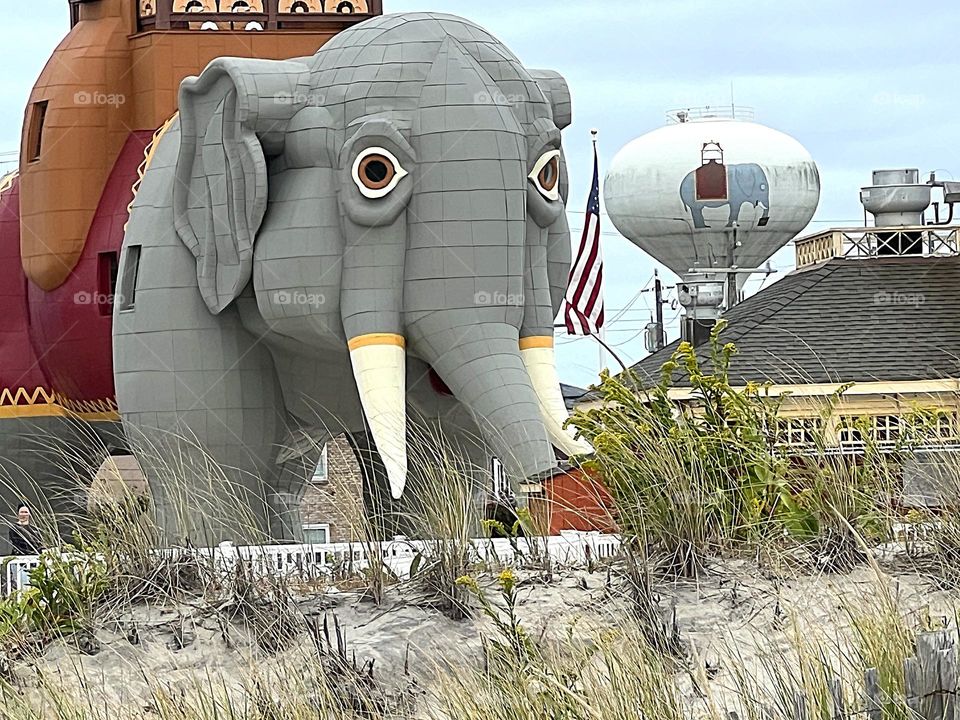 Lucy the Elephant Margate New Jersey 2024