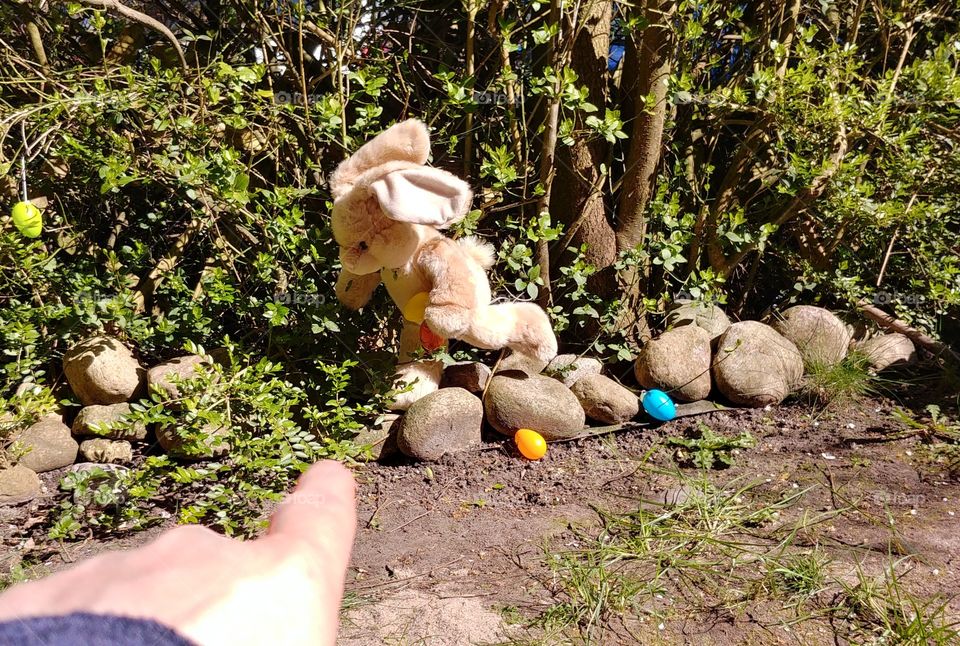 rabbit hase Ostern easter