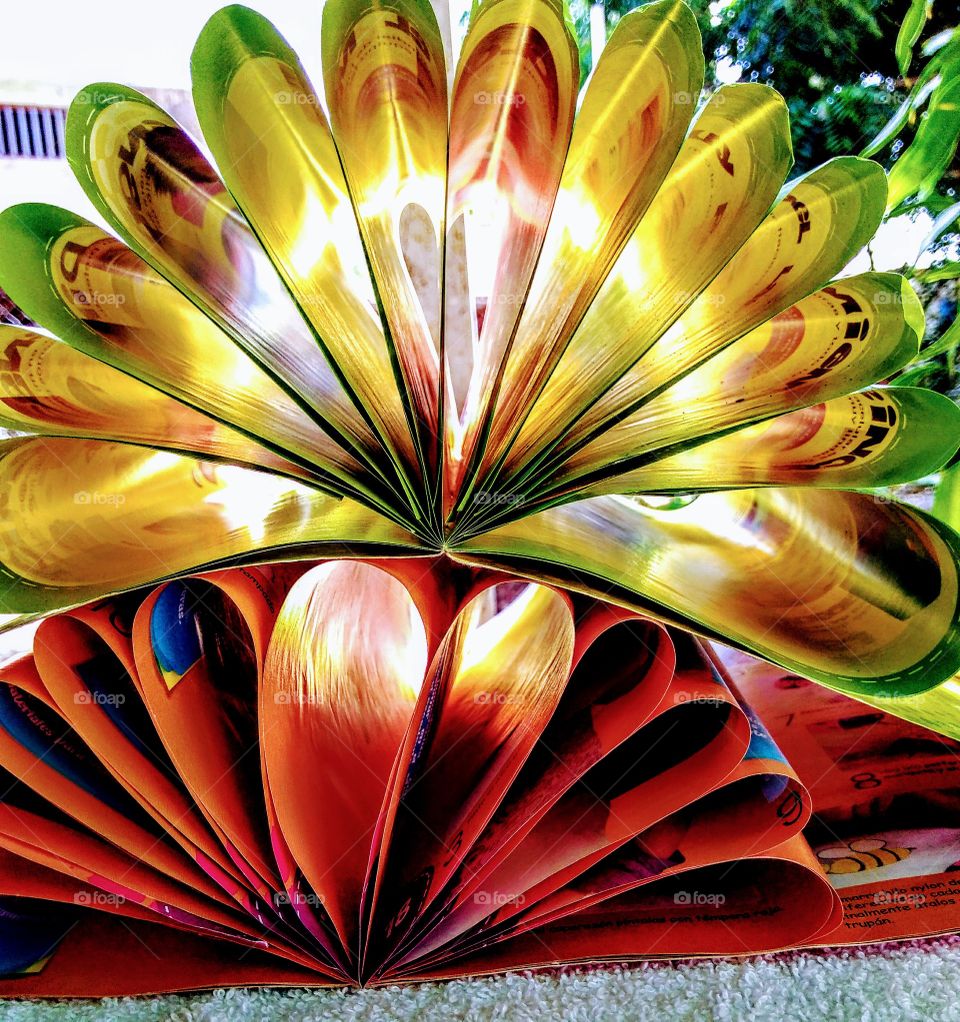 rayos de sol en un libro