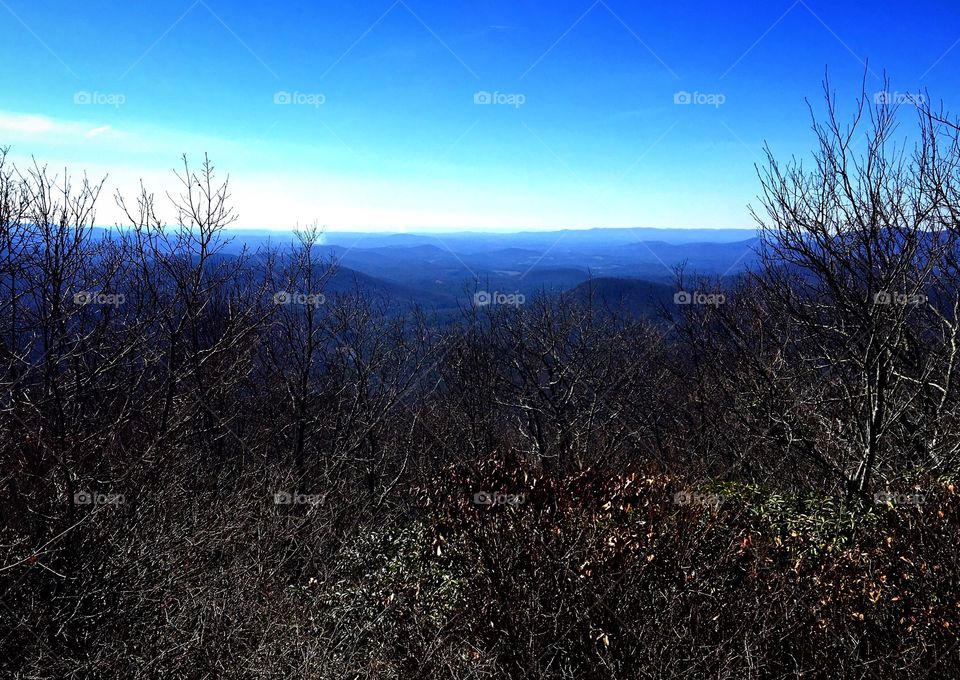 View from the top of Springer Mountain, the southern start of the Appalachian Trail