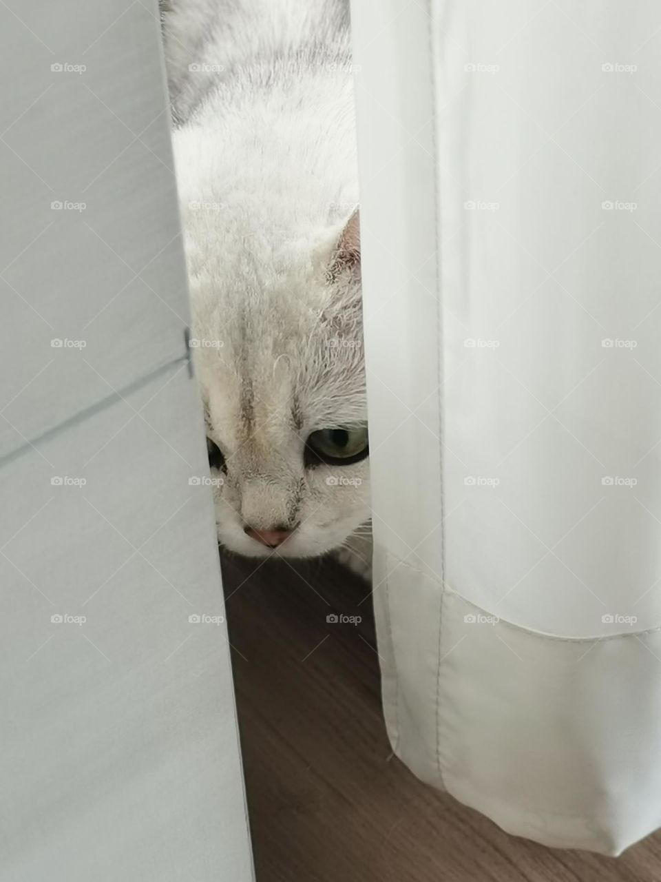 What happened outside？