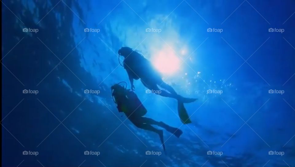 Scuba diving in Summer