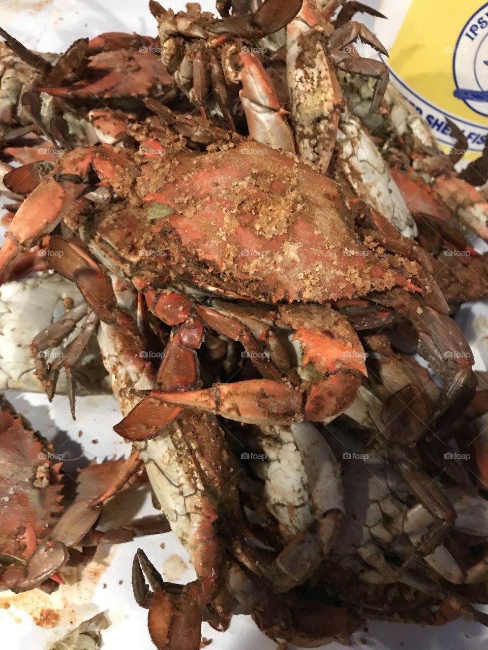 Cooked Chesapeake bay blue crabs covered in old bay. 