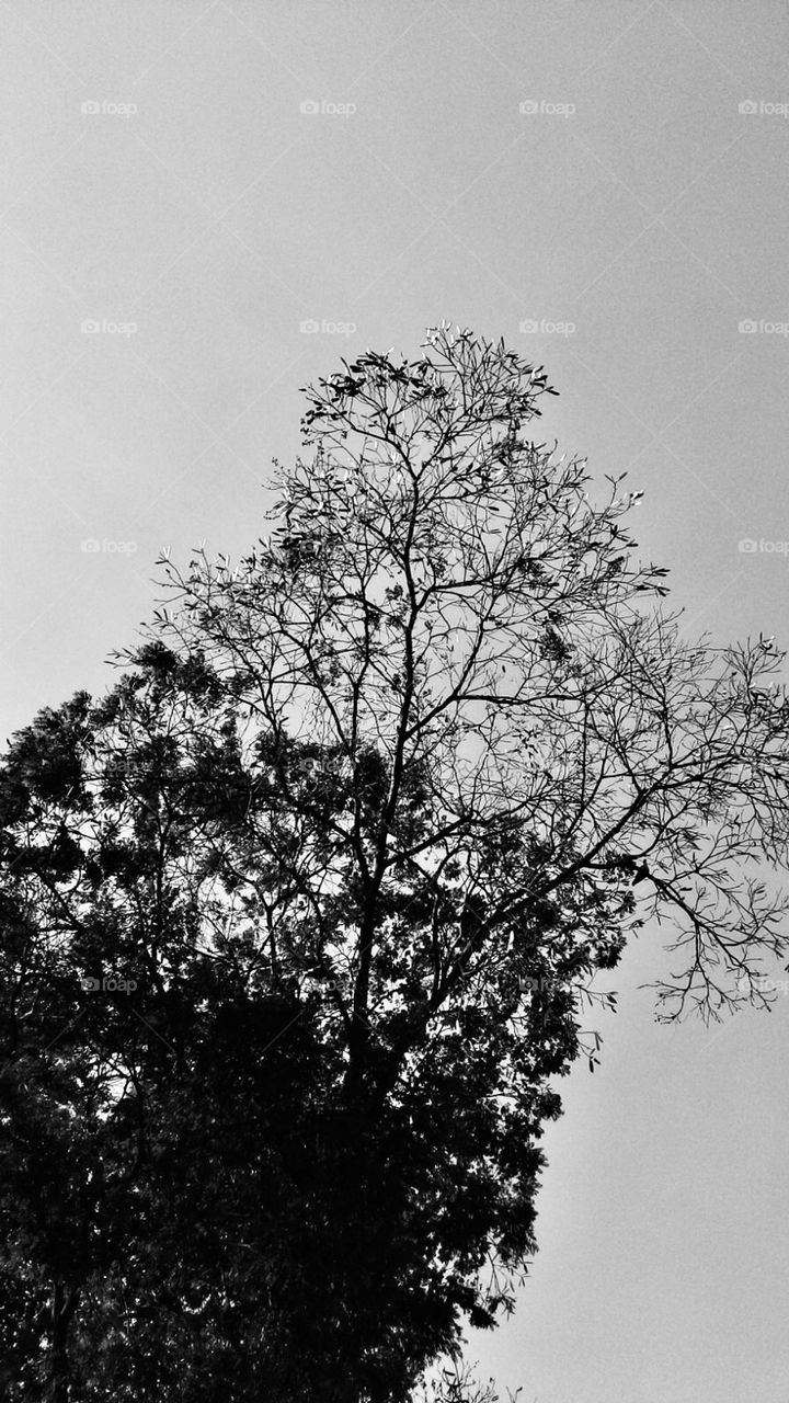 I love this picture, I don't know why 😍