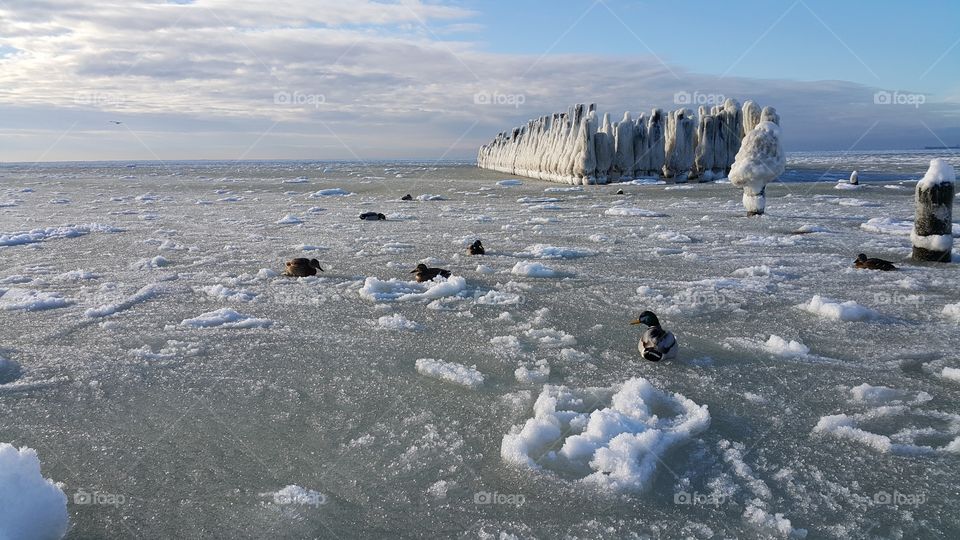 frozen Baltic sea