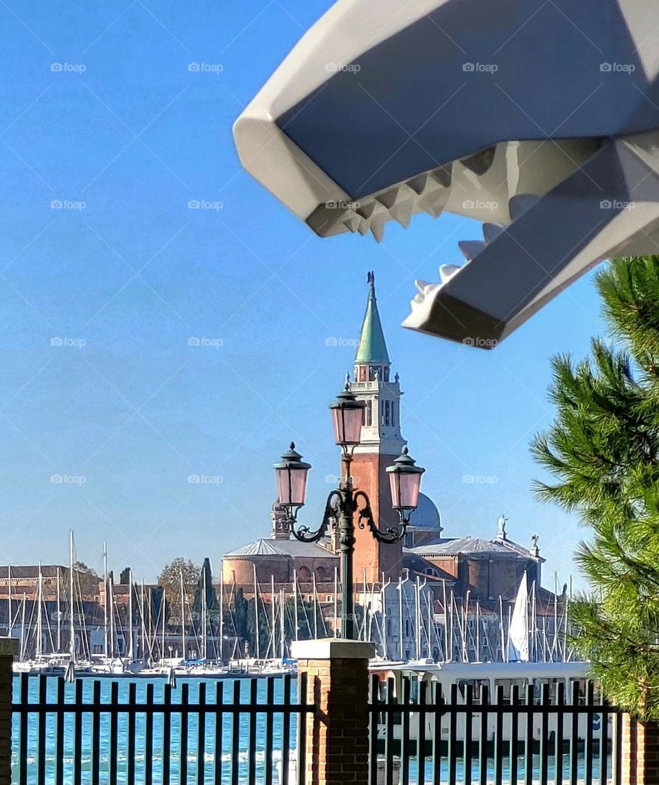 biting beast in Venice