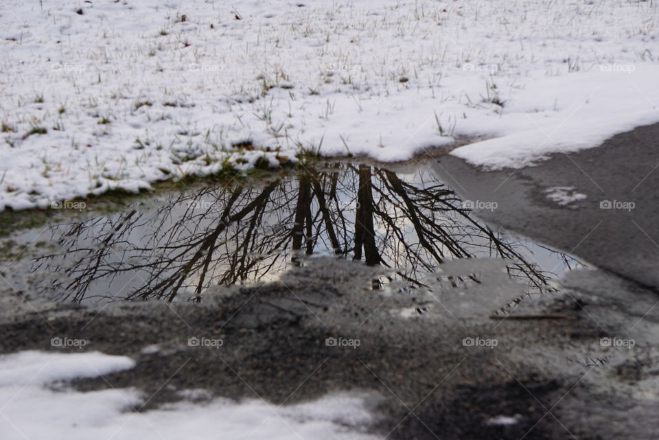 Winter puddle reflections. 