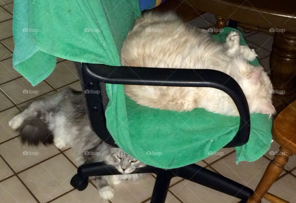 You're in my spot......