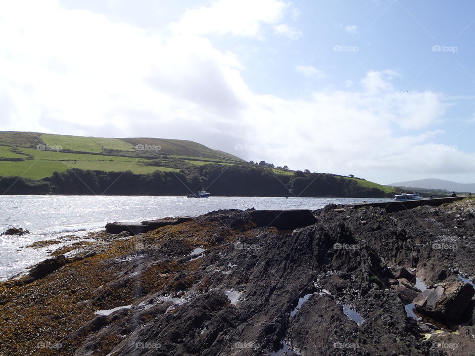 Dolphin waters. Dingle Ireland 