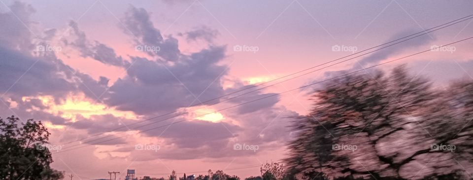 Nature's Beauty ✨🧡