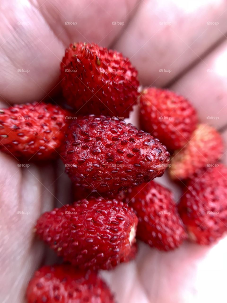 Strawberries